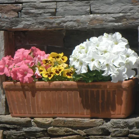 Penzion Casa De Canilhas Mesão Frio