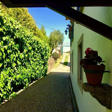 Penzion Casa De Canilhas Mesão Frio