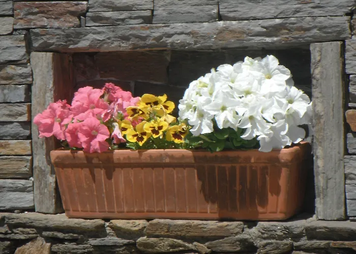 Pensjonat Casa De Canilhas Mesão Frio