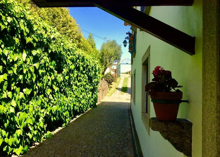 Pensjonat Casa De Canilhas Mesão Frio